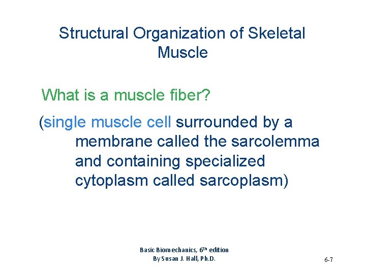 Structural Organization of Skeletal Muscle What is a muscle fiber? (single muscle cell surrounded