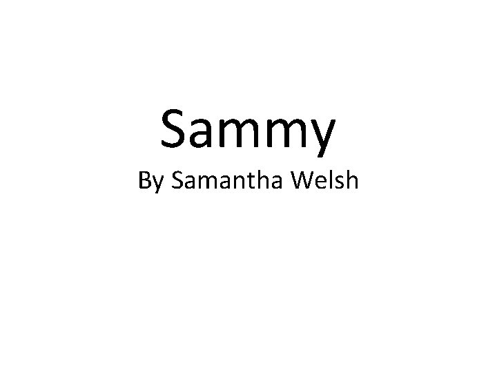 Sammy By Samantha Welsh 