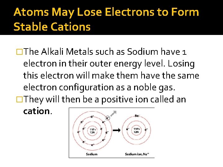 Atoms May Lose Electrons to Form Stable Cations �The Alkali Metals such as Sodium