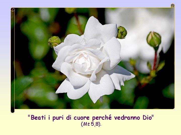 "Beati i puri di cuore perché vedranno Dio" (Mt 5, 8). 