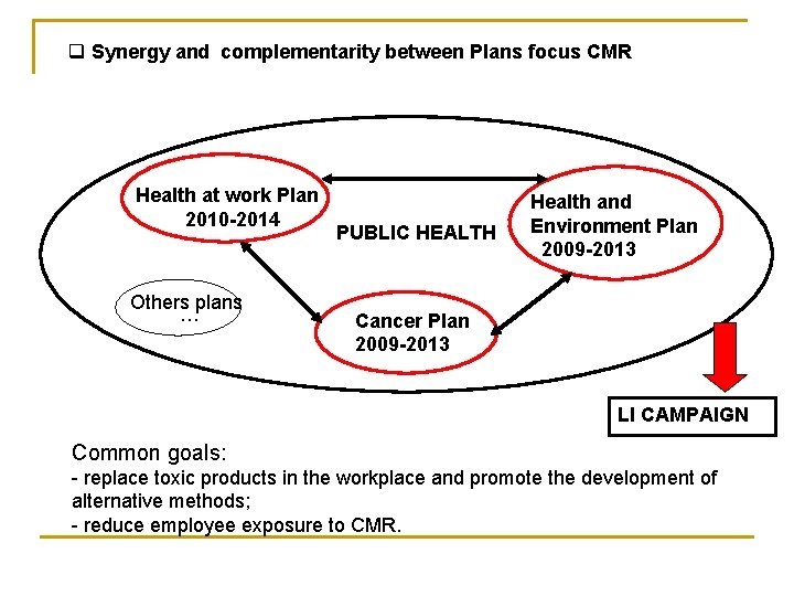 q Synergy and complementarity between Plans focus CMR Health at work Plan 2010 -2014