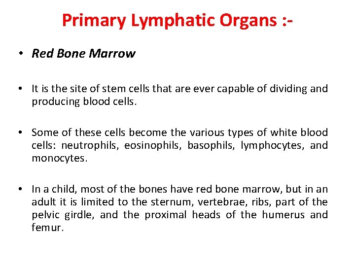 Primary Lymphatic Organs : • Red Bone Marrow • It is the site of