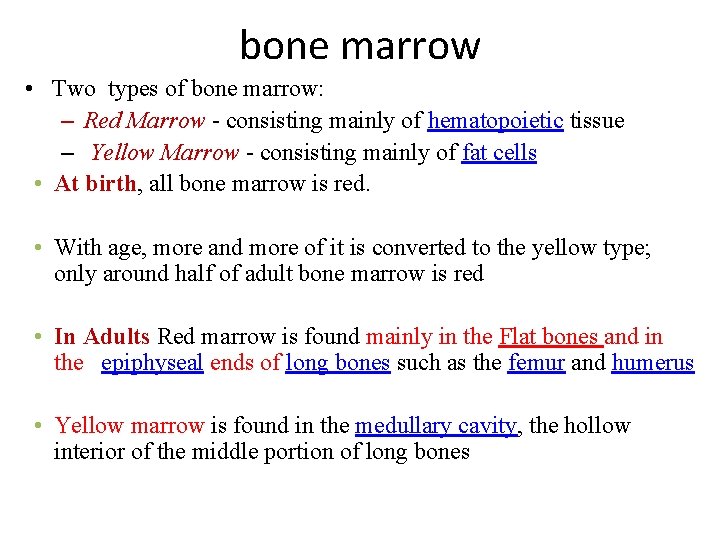 bone marrow • Two types of bone marrow: – Red Marrow - consisting mainly