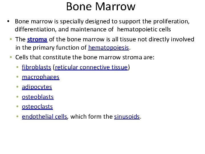 Bone Marrow • Bone marrow is specially designed to support the proliferation, differentiation, and