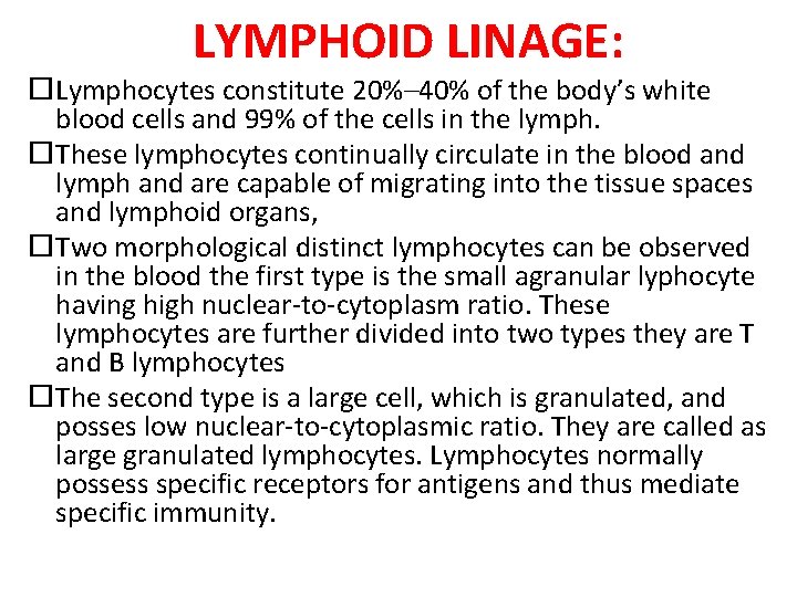 LYMPHOID LINAGE: Lymphocytes constitute 20%– 40% of the body’s white blood cells and 99%