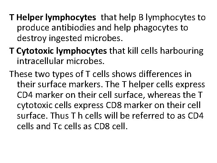 T Helper lymphocytes that help B lymphocytes to produce antibiodies and help phagocytes to