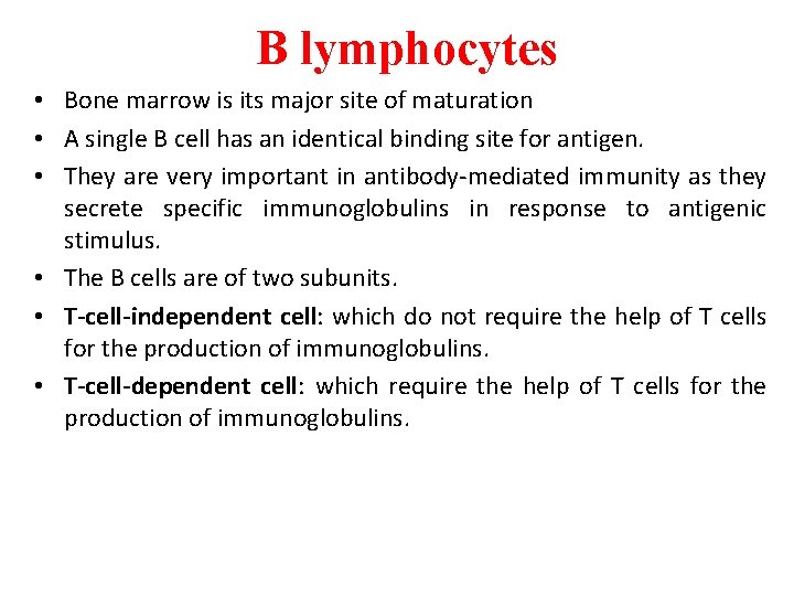 B lymphocytes • Bone marrow is its major site of maturation • A single