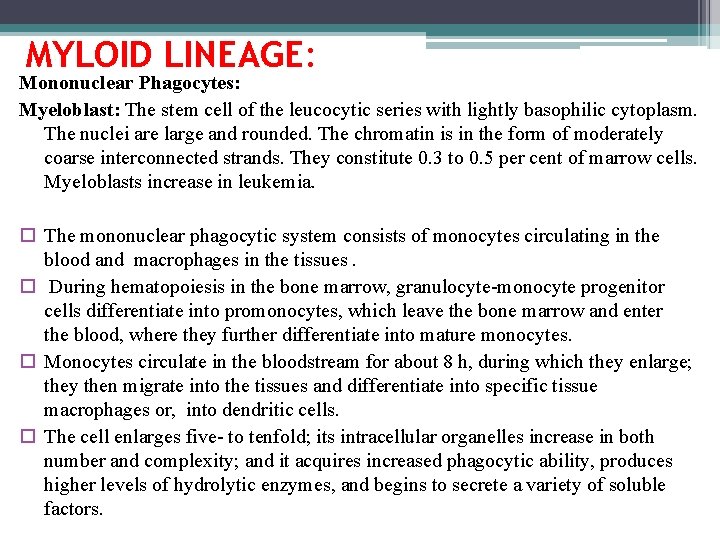 MYLOID LINEAGE: Mononuclear Phagocytes: Myeloblast: The stem cell of the leucocytic series with lightly