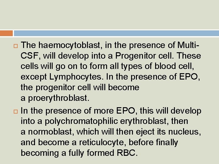 The haemocytoblast, in the presence of Multi. CSF, will develop into a Progenitor
