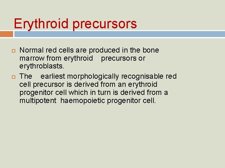 Erythroid precursors Normal red cells are produced in the bone marrow from erythroid precursors