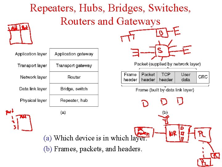 Repeaters, Hubs, Bridges, Switches, Routers and Gateways (a) Which device is in which layer.