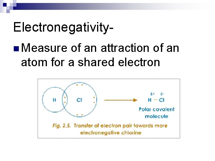 Electronegativityn Measure of an attraction of an atom for a shared electron 