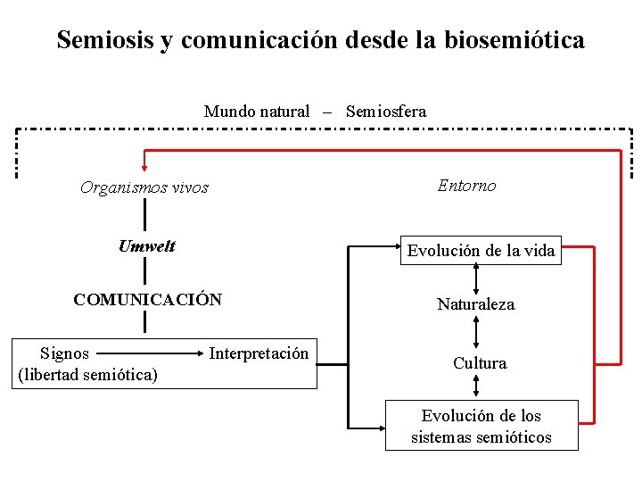 Semiosis y comunicación desde la biosemiótica Mundo natural – Semiosfera Entorno Organismos vivos Umwelt