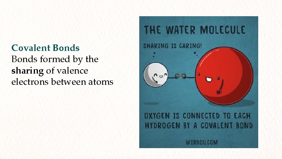Covalent Bonds formed by the sharing of valence electrons between atoms 