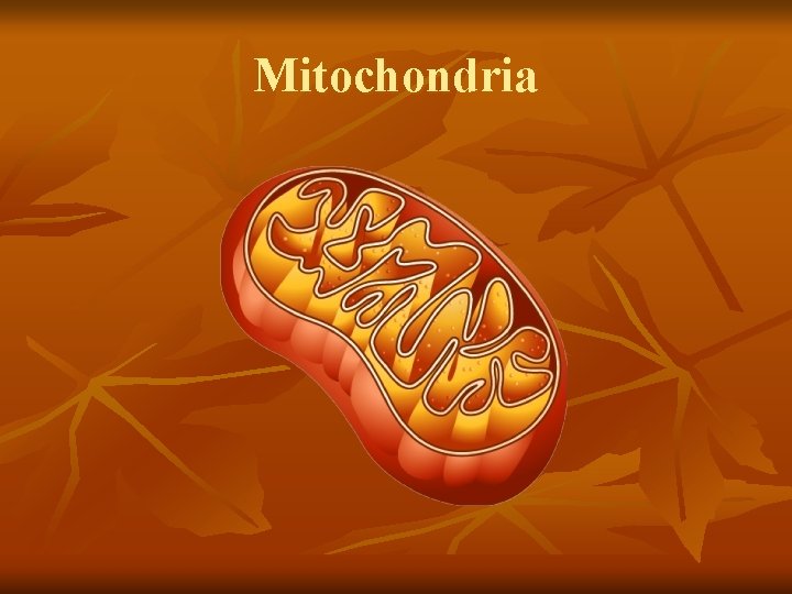 Mitochondria 
