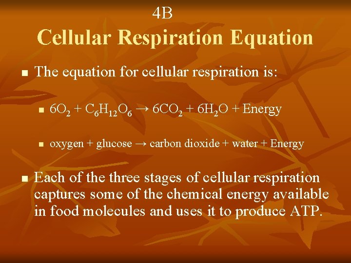 4 B Cellular Respiration Equation n n The equation for cellular respiration is: n