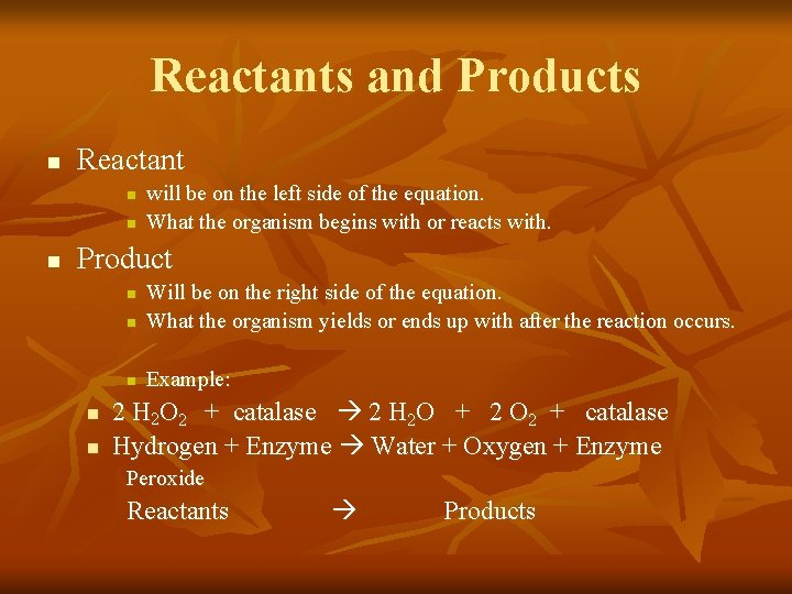Reactants and Products n Reactant n n n will be on the left side