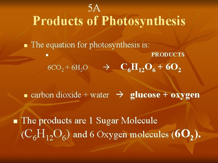 5 A Products of Photosynthesis n The equation for photosynthesis is: PRODUCTS n 6