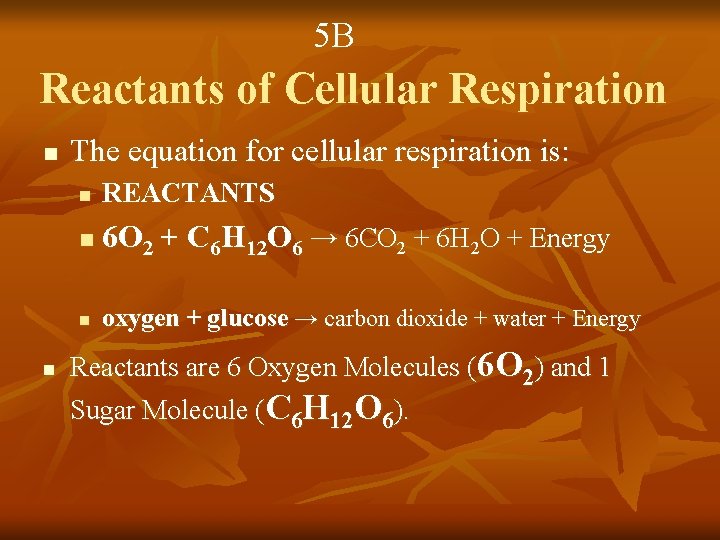 5 B Reactants of Cellular Respiration n n The equation for cellular respiration is: