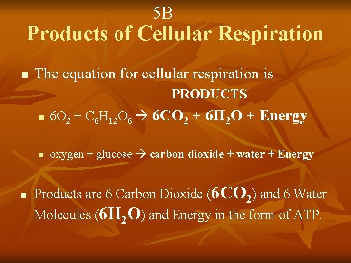 5 B Products of Cellular Respiration n The equation for cellular respiration is PRODUCTS