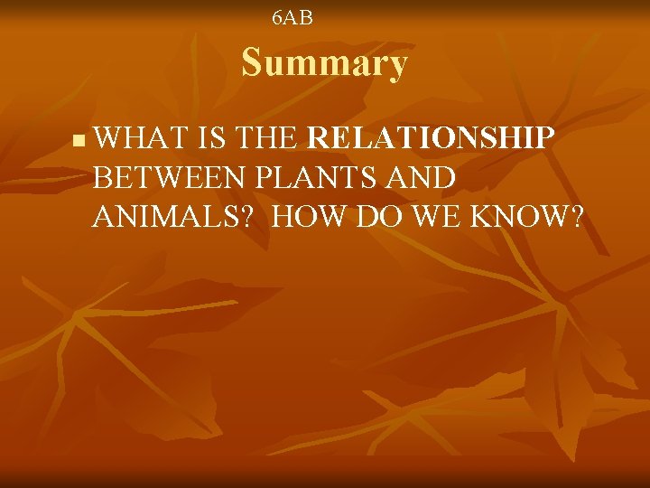 6 AB Summary n WHAT IS THE RELATIONSHIP BETWEEN PLANTS AND ANIMALS? HOW DO