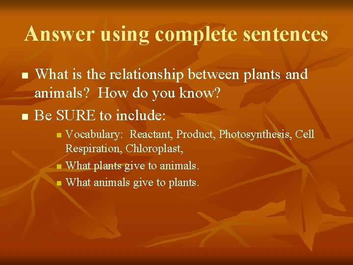 Answer using complete sentences n n What is the relationship between plants and animals?