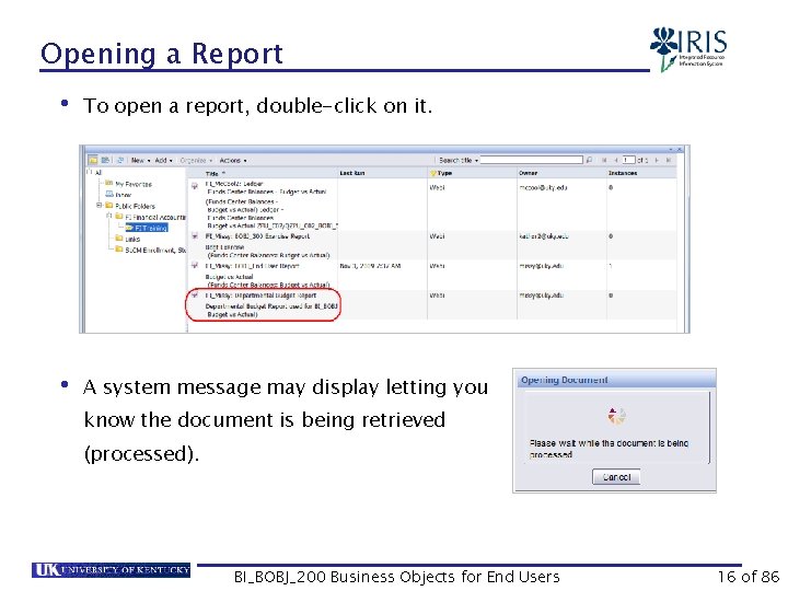 Opening a Report • To open a report, double-click on it. • A system