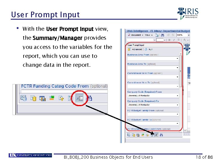 User Prompt Input • With the User Prompt Input view, the Summary/Manager provides you