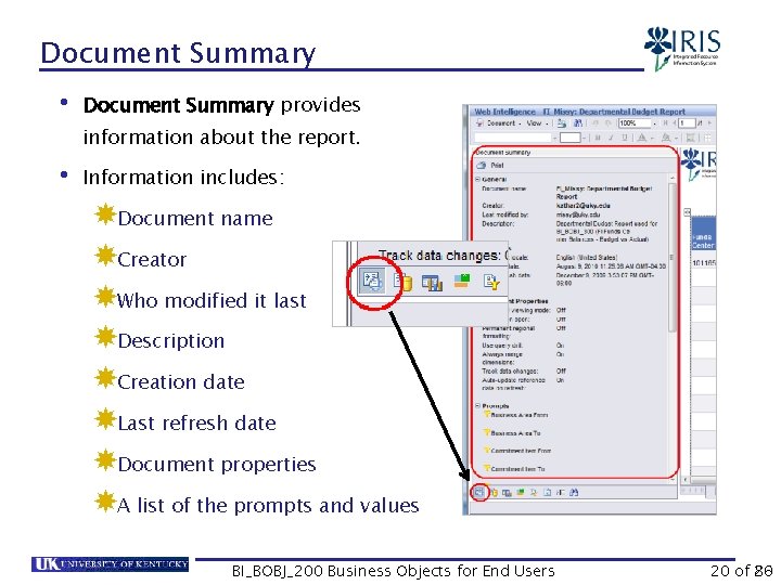 Document Summary • Document Summary provides information about the report. • Information includes: Document