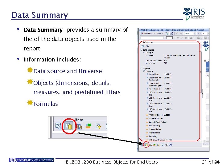 Data Summary • Data Summary provides a summary of the data objects used in