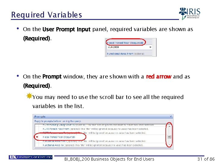 Required Variables • On the User Prompt Input panel, required variables are shown as