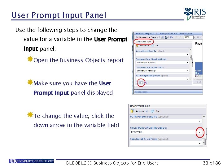 User Prompt Input Panel Use the following steps to change the value for a