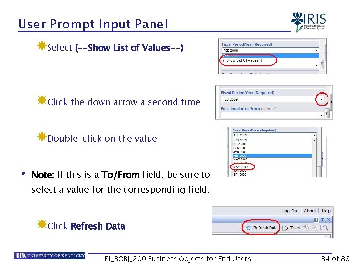 User Prompt Input Panel Select (--Show List of Values--) Click the down arrow a
