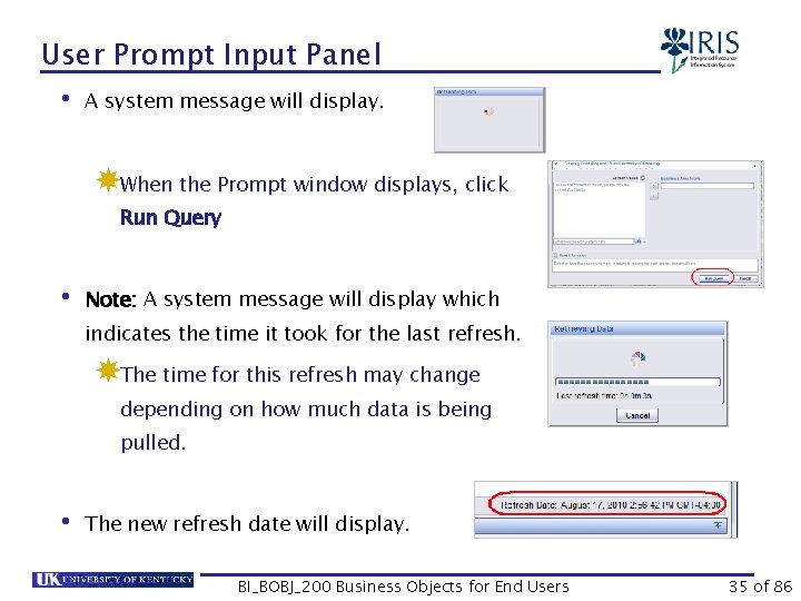 User Prompt Input Panel • A system message will display. When the Prompt window