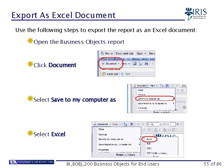 Export As Excel Document Use the following steps to export the report as an