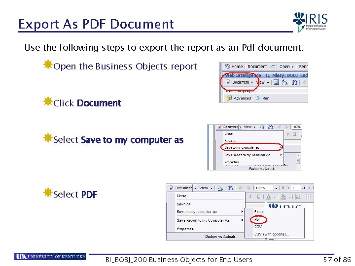 Export As PDF Document Use the following steps to export the report as an