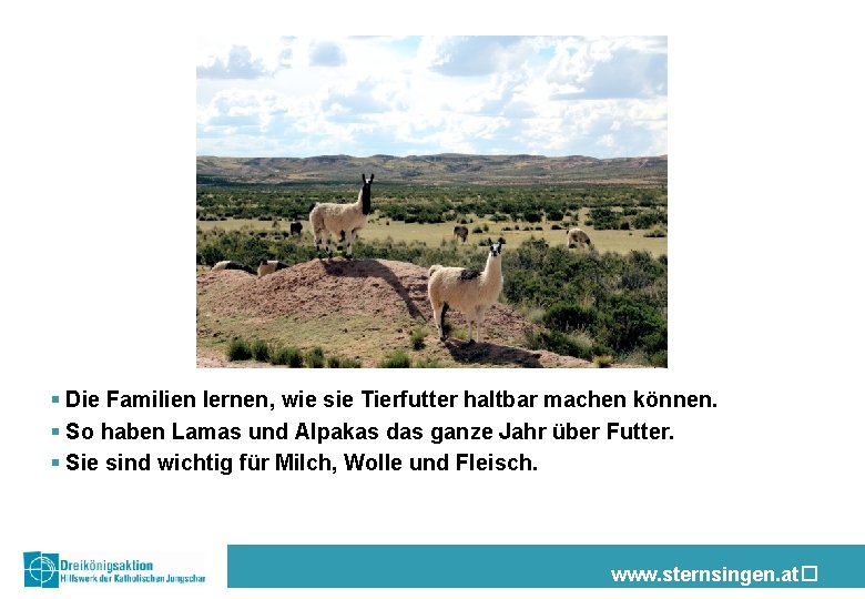 § Die Familien lernen, wie sie Tierfutter haltbar machen können. § So haben Lamas