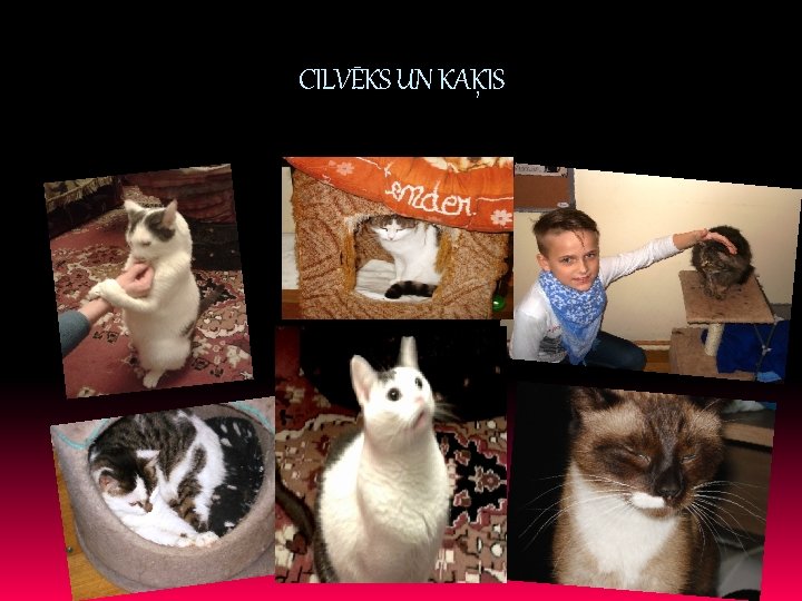 CILVĒKS UN KAĶIS 