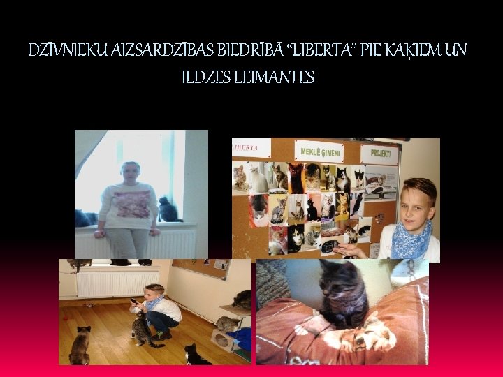 DZĪVNIEKU AIZSARDZĪBAS BIEDRĪBĀ “LIBERTA” PIE KAĶIEM UN ILDZES LEIMANTES 