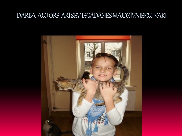 DARBA AUTORS ARĪ SEV IEGĀDĀSIES MĀJDZĪVNIEKU KAĶI 