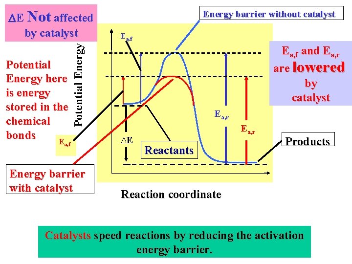 Potential Energy here is energy stored in the chemical bonds E Potential Energy E
