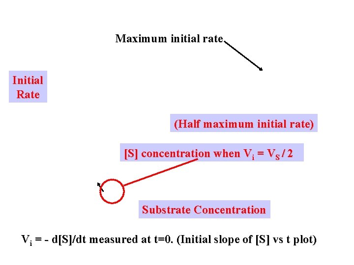 Maximum initial rate Initial Rate (Half maximum initial rate) [S] concentration when Vi =