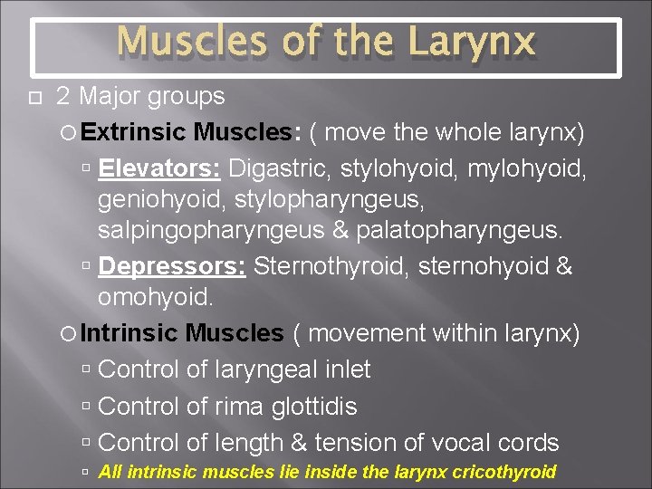 Muscles of the Larynx 2 Major groups Extrinsic Muscles: ( move the whole larynx)