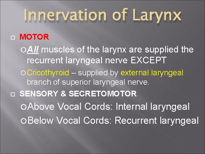 Innervation of Larynx MOTOR All muscles of the larynx are supplied the recurrent laryngeal
