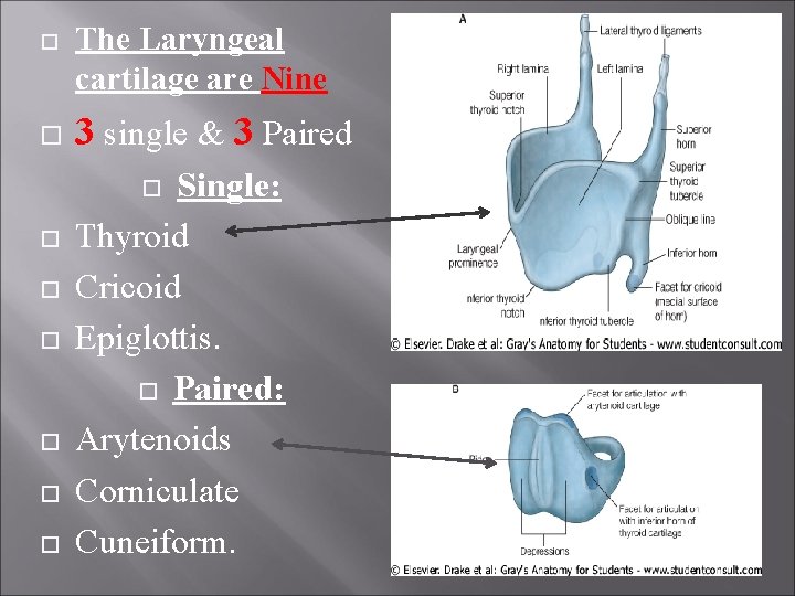  The Laryngeal cartilage are Nine 3 single & 3 Paired Single: Thyroid Cricoid
