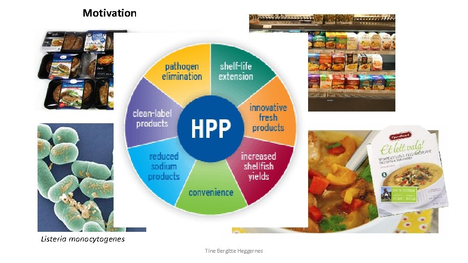 Motivation Listeria monocytogenes Tine Bergitte Heggernes 