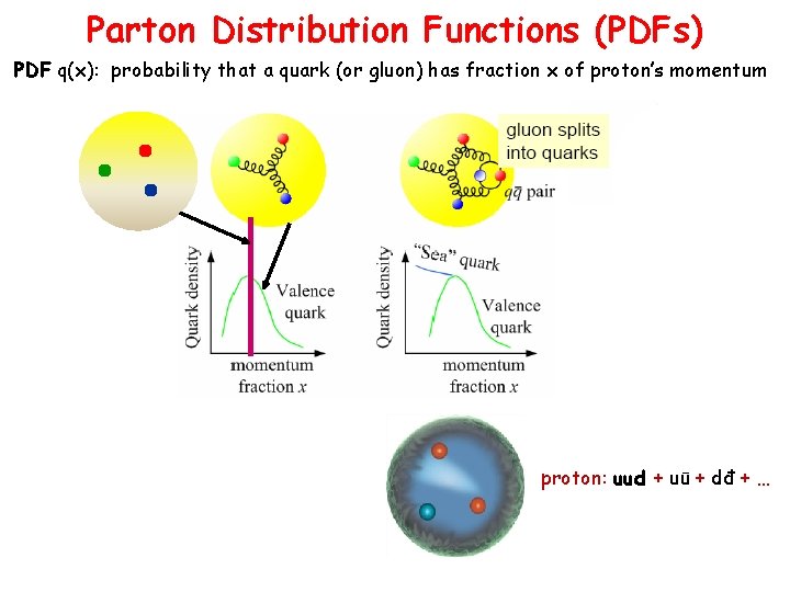 Parton Distribution Functions (PDFs) PDF q(x): probability that a quark (or gluon) has fraction