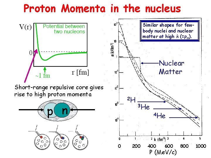 Proton Momenta in the nucleus Similar shapes for fewbody nuclei and nuclear matter at