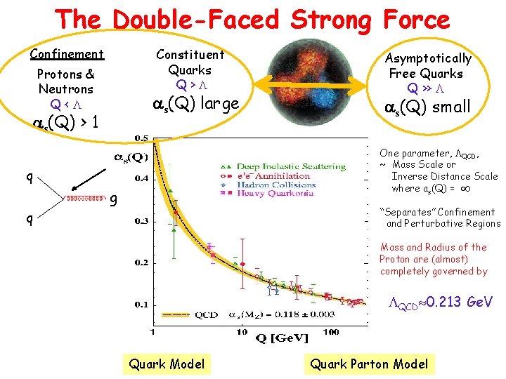 The Double-Faced Strong Force Confinement Protons & Neutrons Q< x as(Q) > 1 Constituent