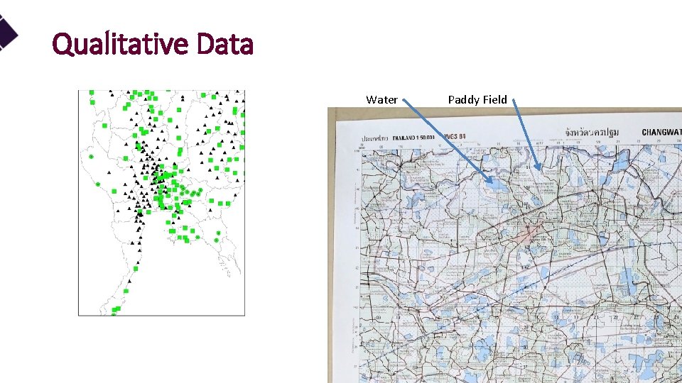 Qualitative Data Water Paddy Field 